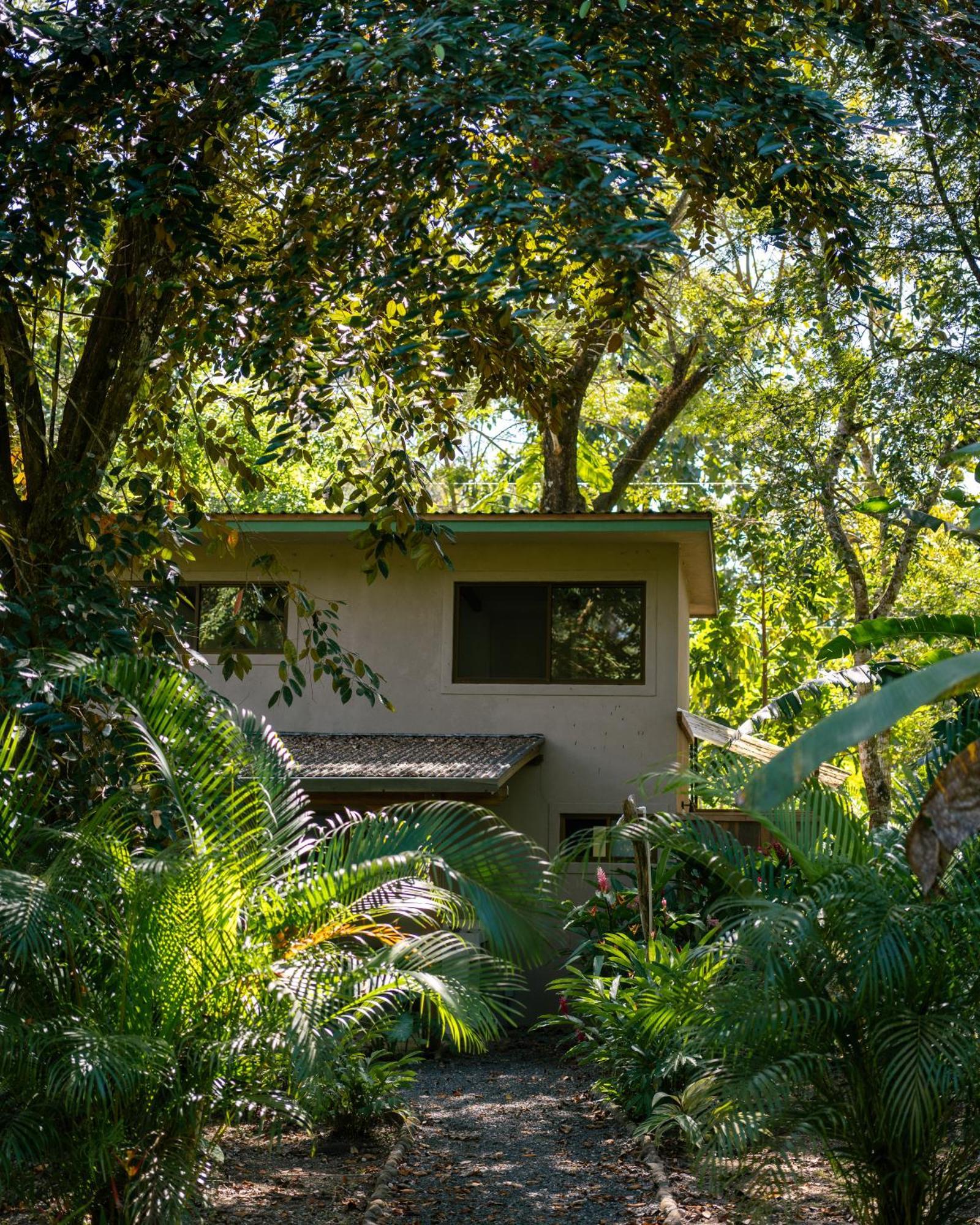 Feeling Trees Jungle Lodge Cabuya  Exterior photo