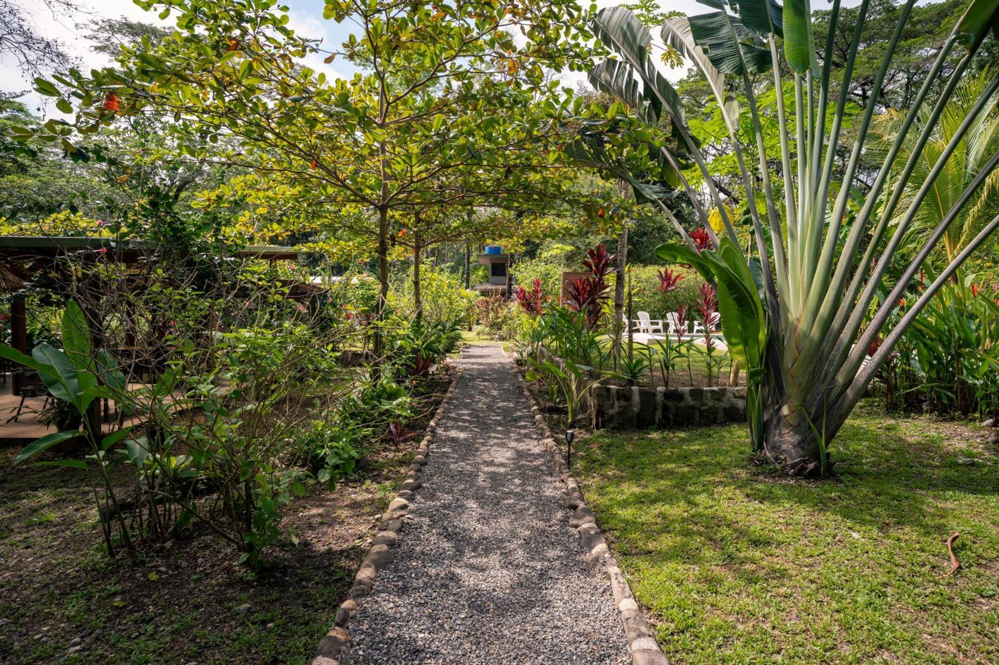 Feeling Trees Jungle Lodge Cabuya  Exterior photo